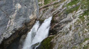 P1060219