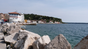 P1060409