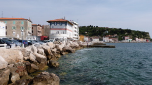 P1060410